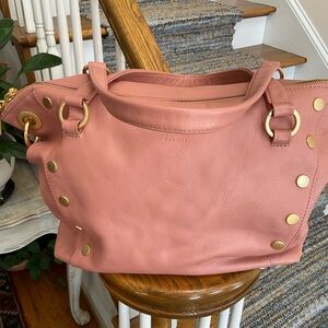 Hammitt large Daniel